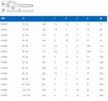 Γαντζόκλειδο 52-55 UNIOR 255/2